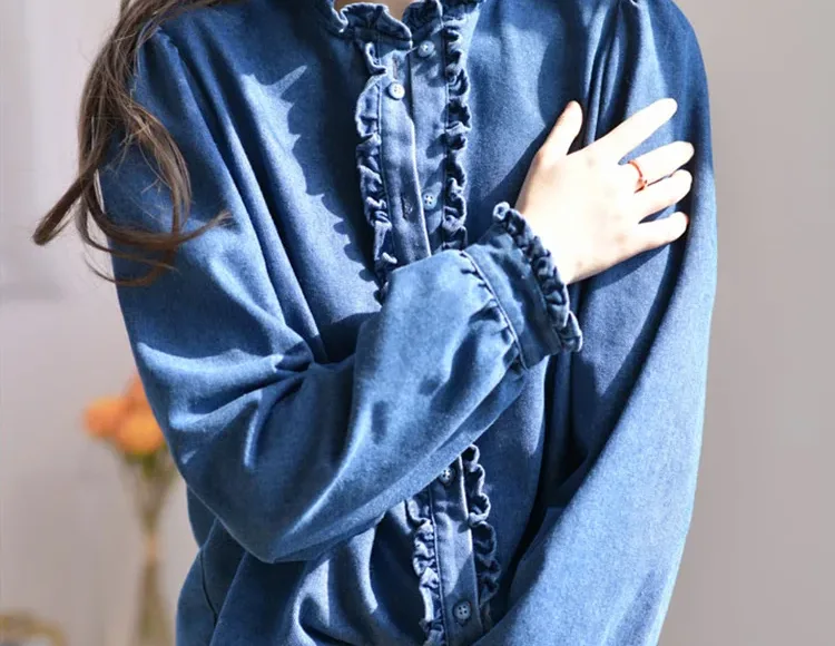 プロのワードローブの建築家