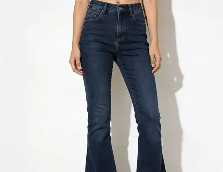 現代世界の民主主義の制服